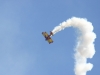 Wings Over Houston Air Show 2009