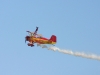 Wings Over Houston Air Show 2009