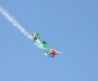 Wings Over Houston Air Show 2009